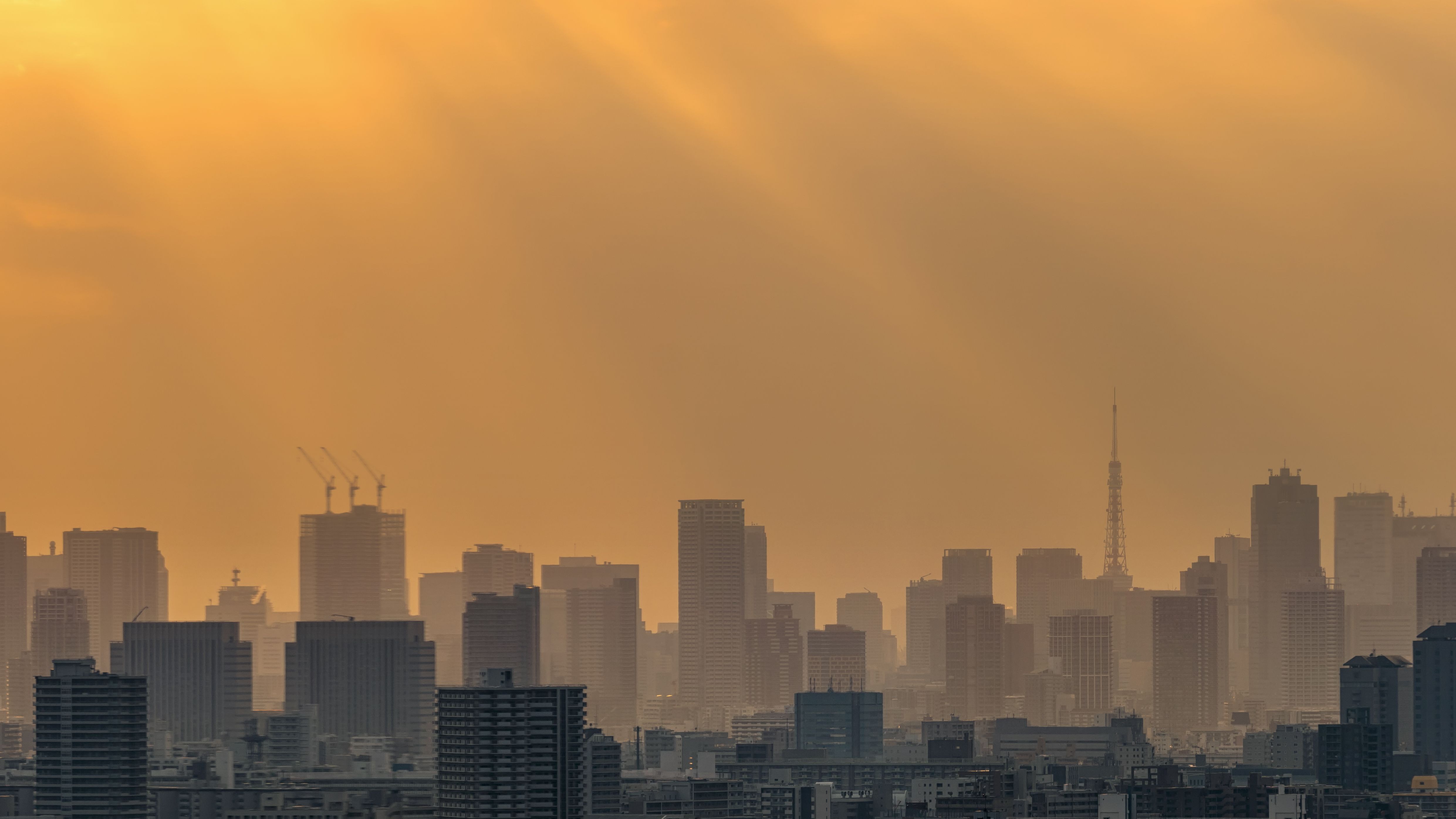 Tokyo Golden Hour